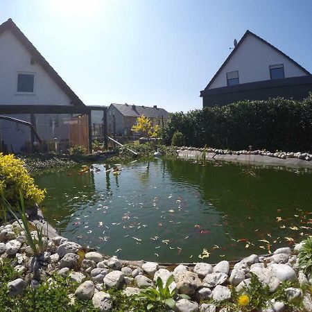 Moselie Ferienwohnung Kinheim Mosel Eksteriør bilde