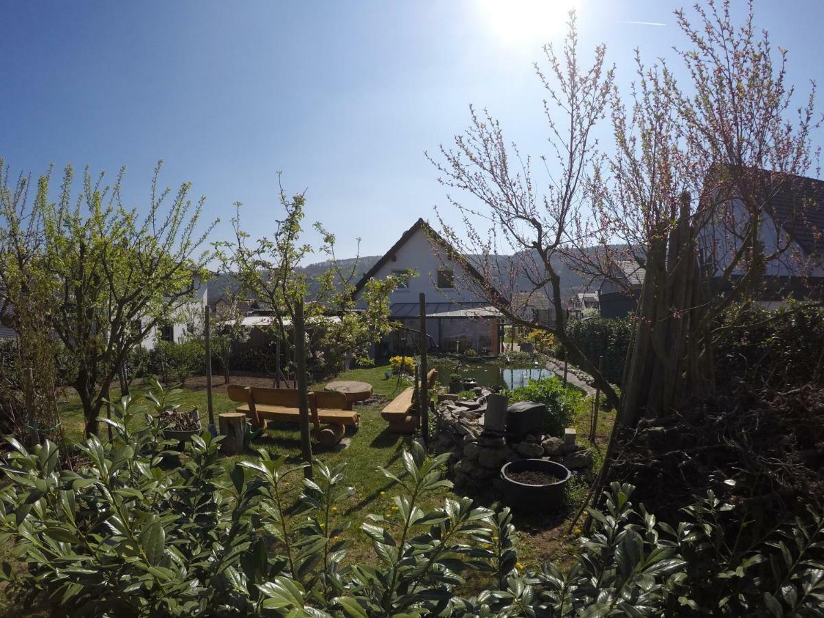 Moselie Ferienwohnung Kinheim Mosel Eksteriør bilde